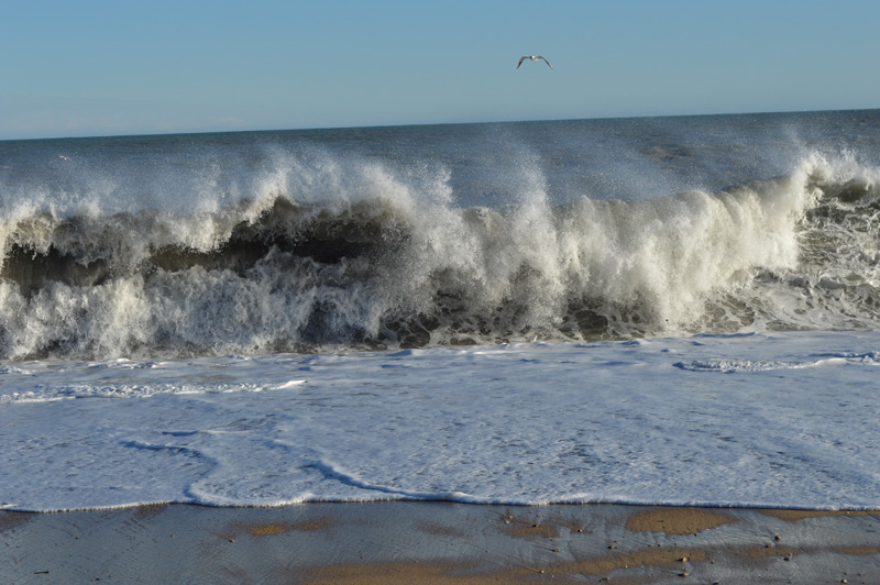 Méga vague