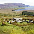 Megalithic Tomb