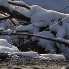 Meglio in padella (al caldo) che nel torrente a -15!!