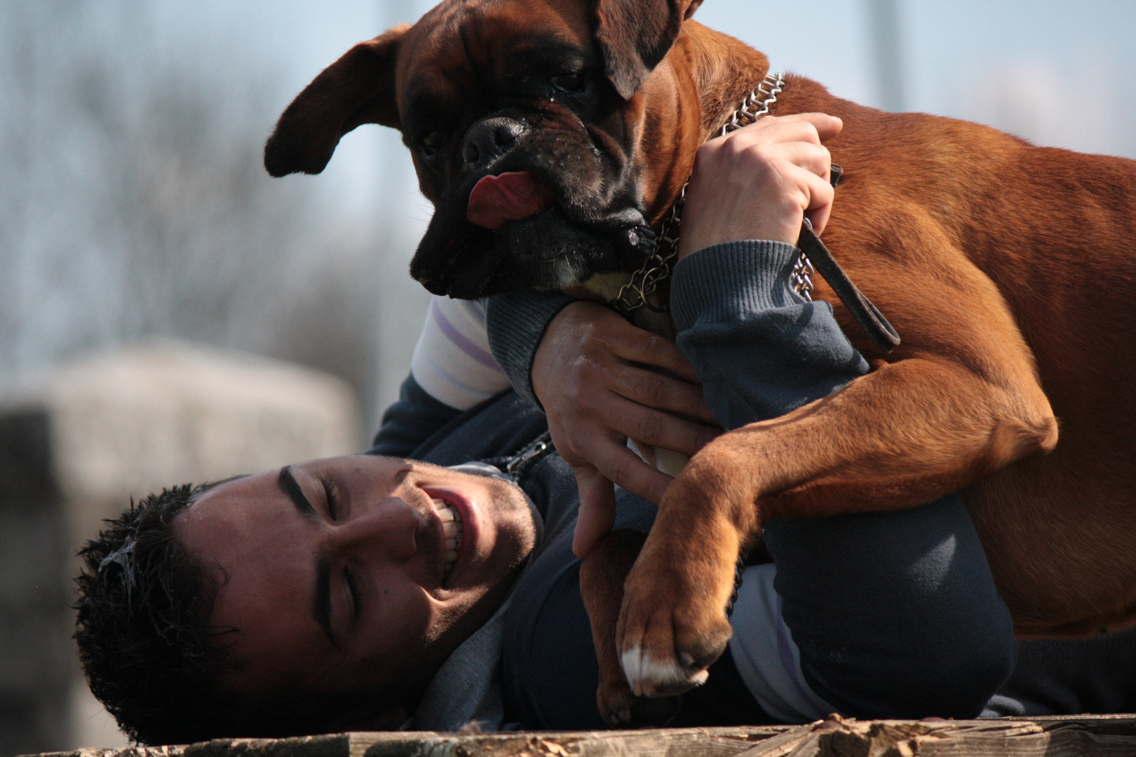 Meglio un cane amico che un amico cane