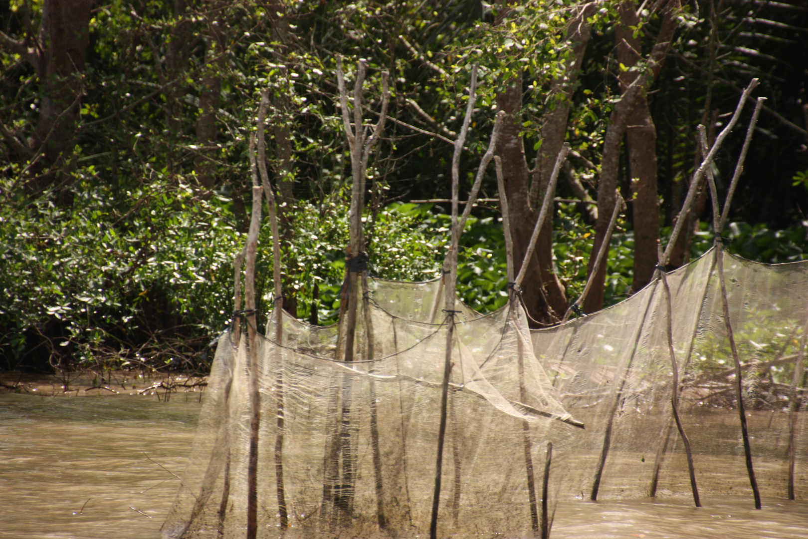 Megong Delta - Fischernetze