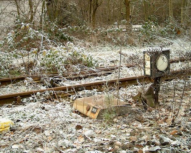 "Mehdorn-Garten" - Dornröschen ...