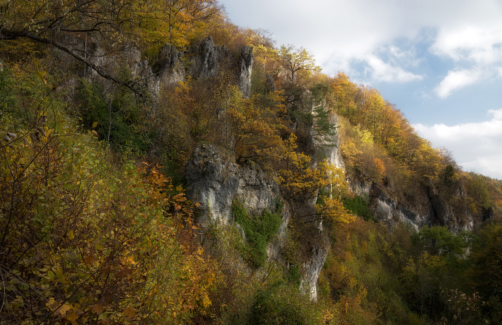 Mehlbeerensteig