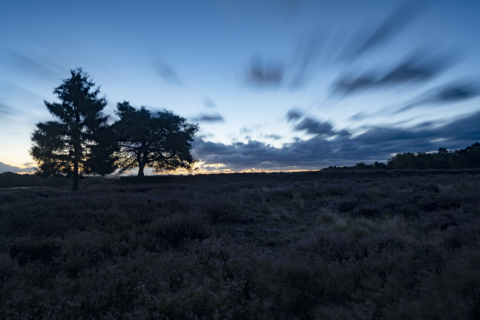 Mehlinger Heide-_001