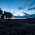 Mehlinger Heide-_001