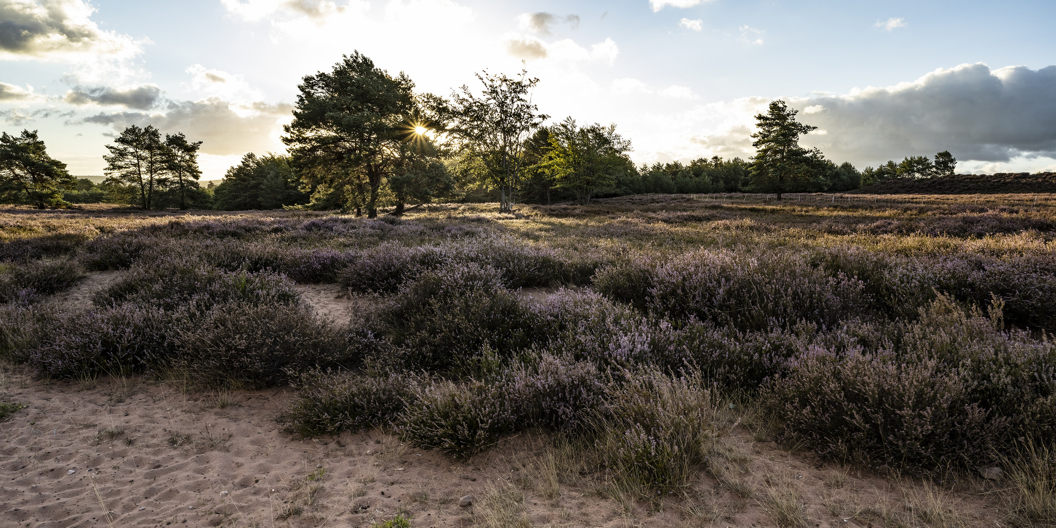 Mehlinger Heide-_009