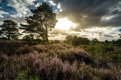 Mehlinger Heide-_010