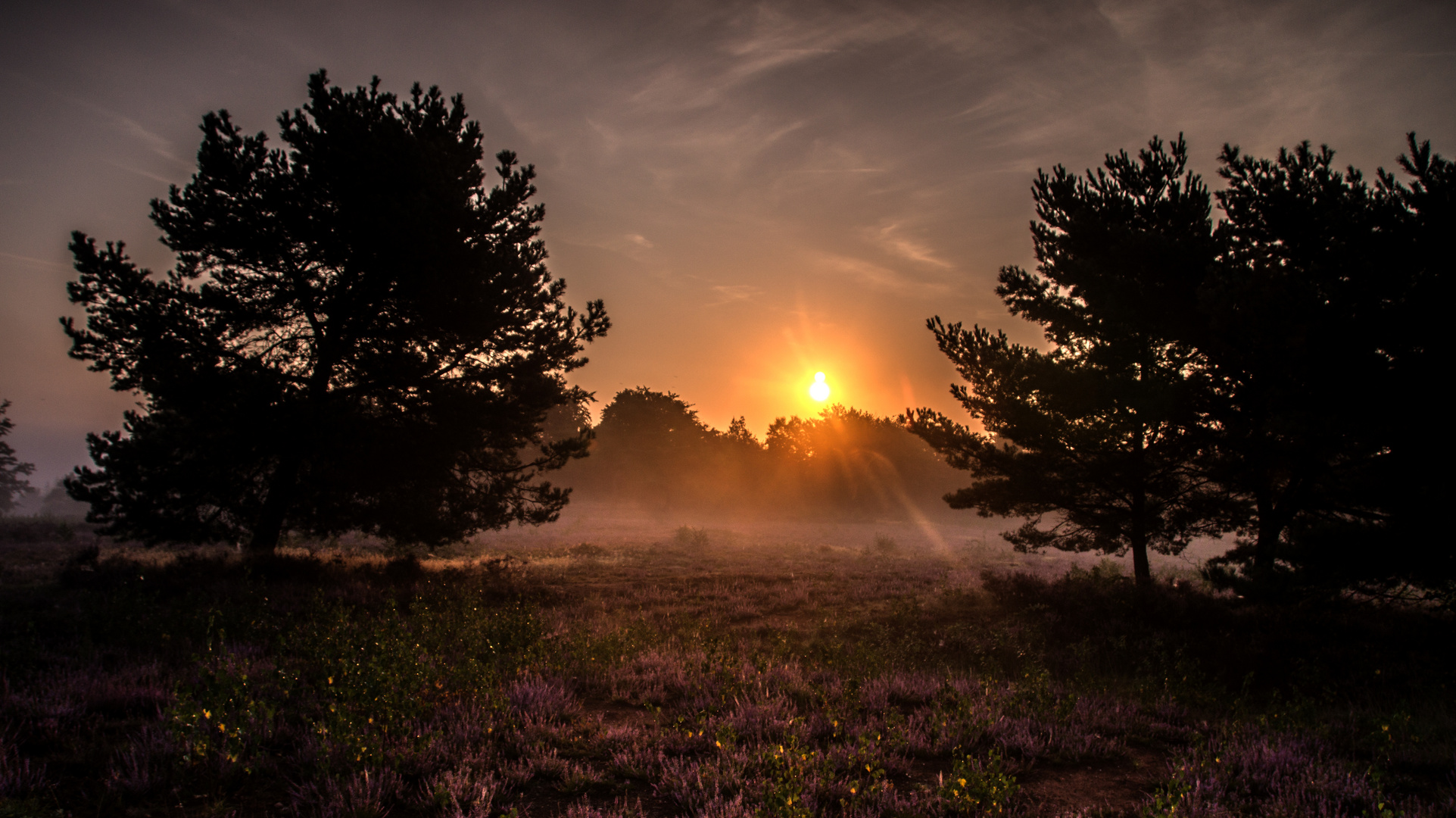 Mehlinger Heide