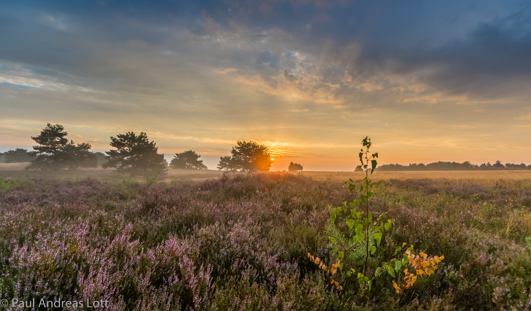 Mehlinger Heide