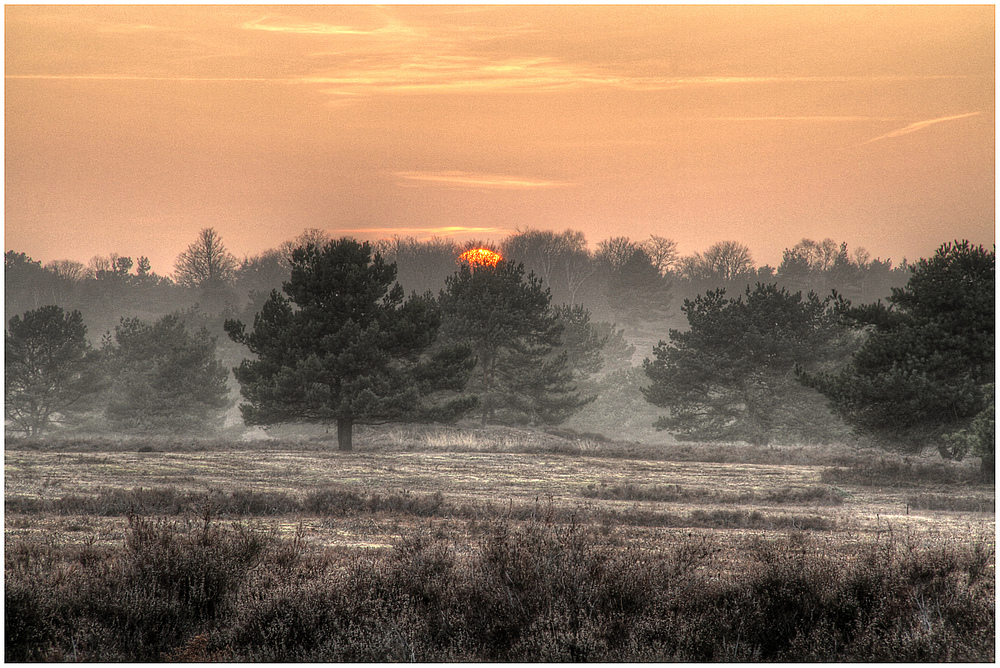 Mehlinger Heide 1