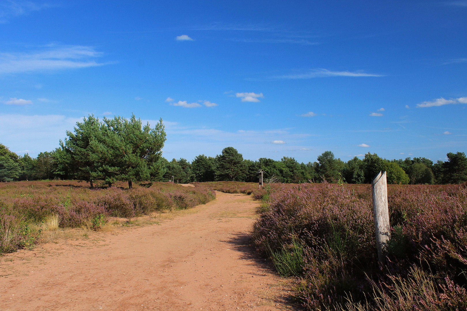 Mehlinger Heide