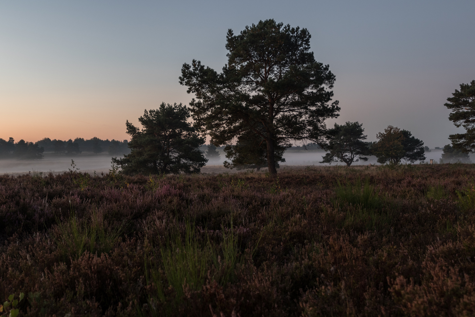 Mehlinger Heide