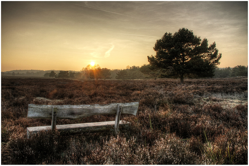 Mehlinger Heide 2