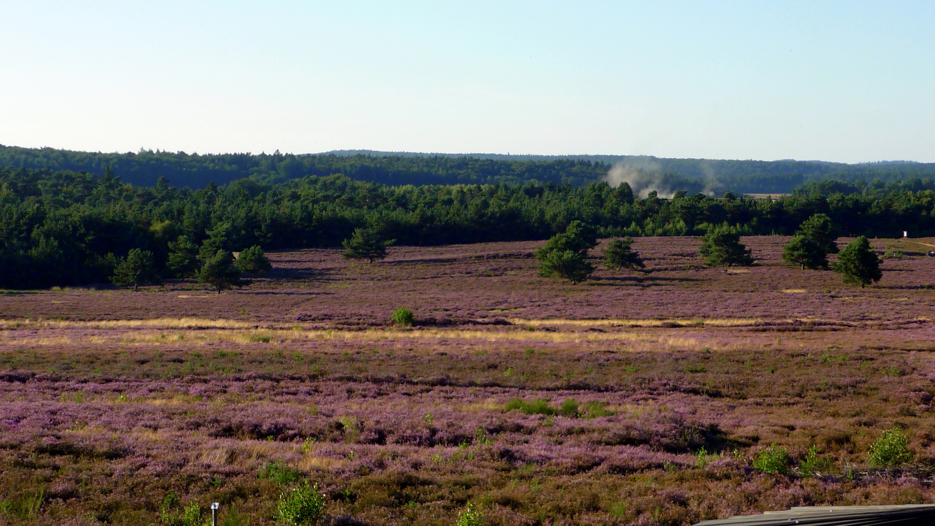 Mehlinger Heide 3