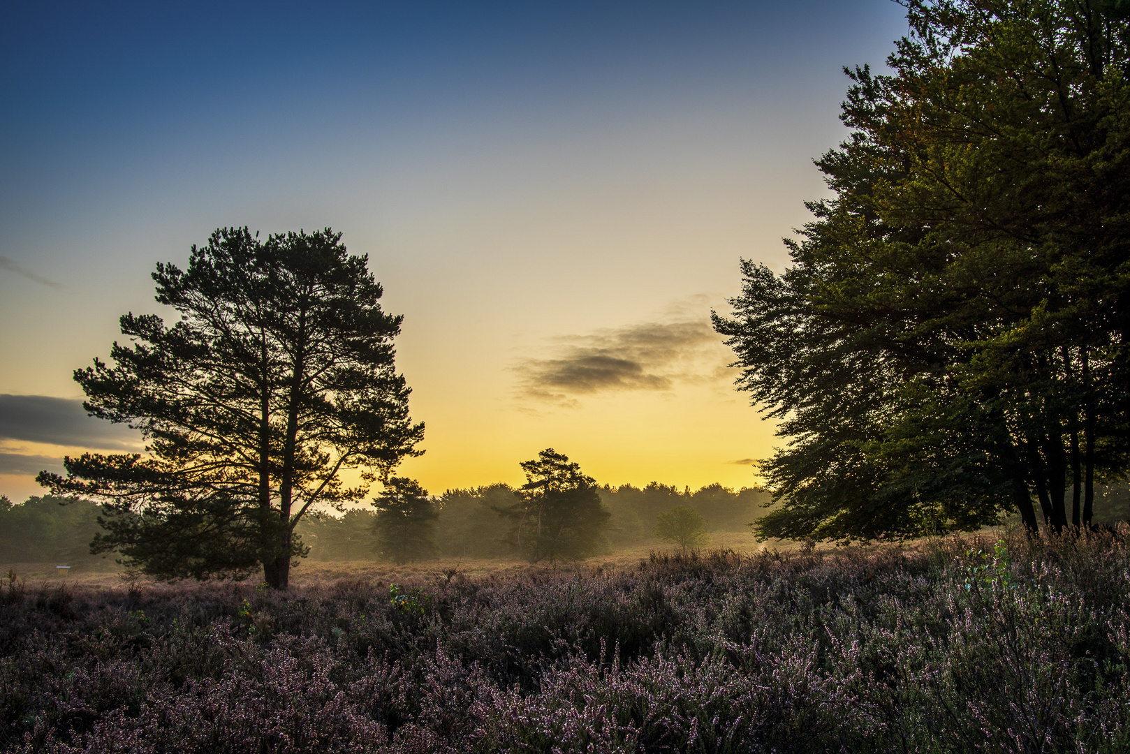 Mehlinger Heide