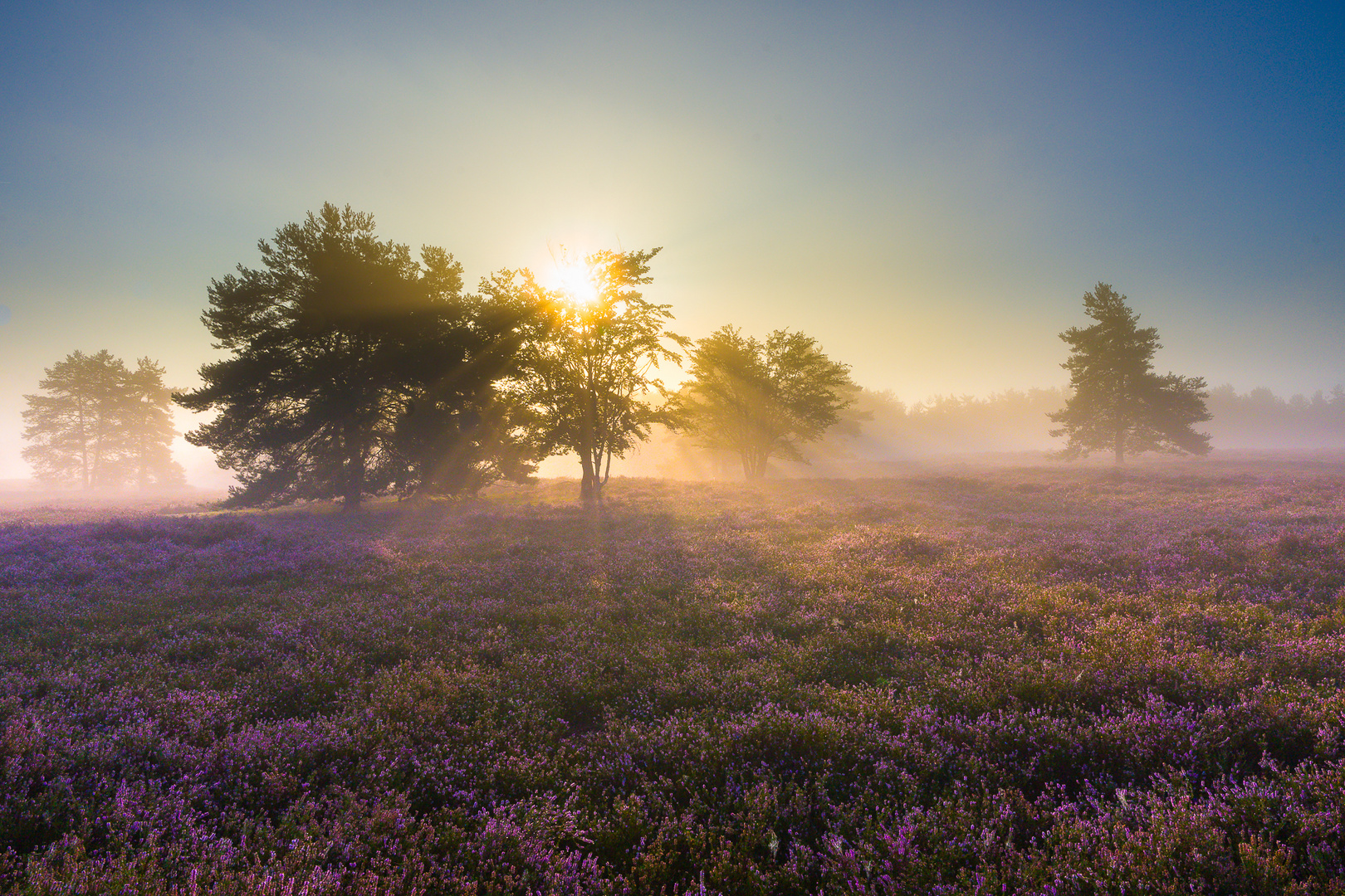 Mehlinger Heide