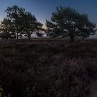 Mehlinger Heide am ersten Licht des Tages