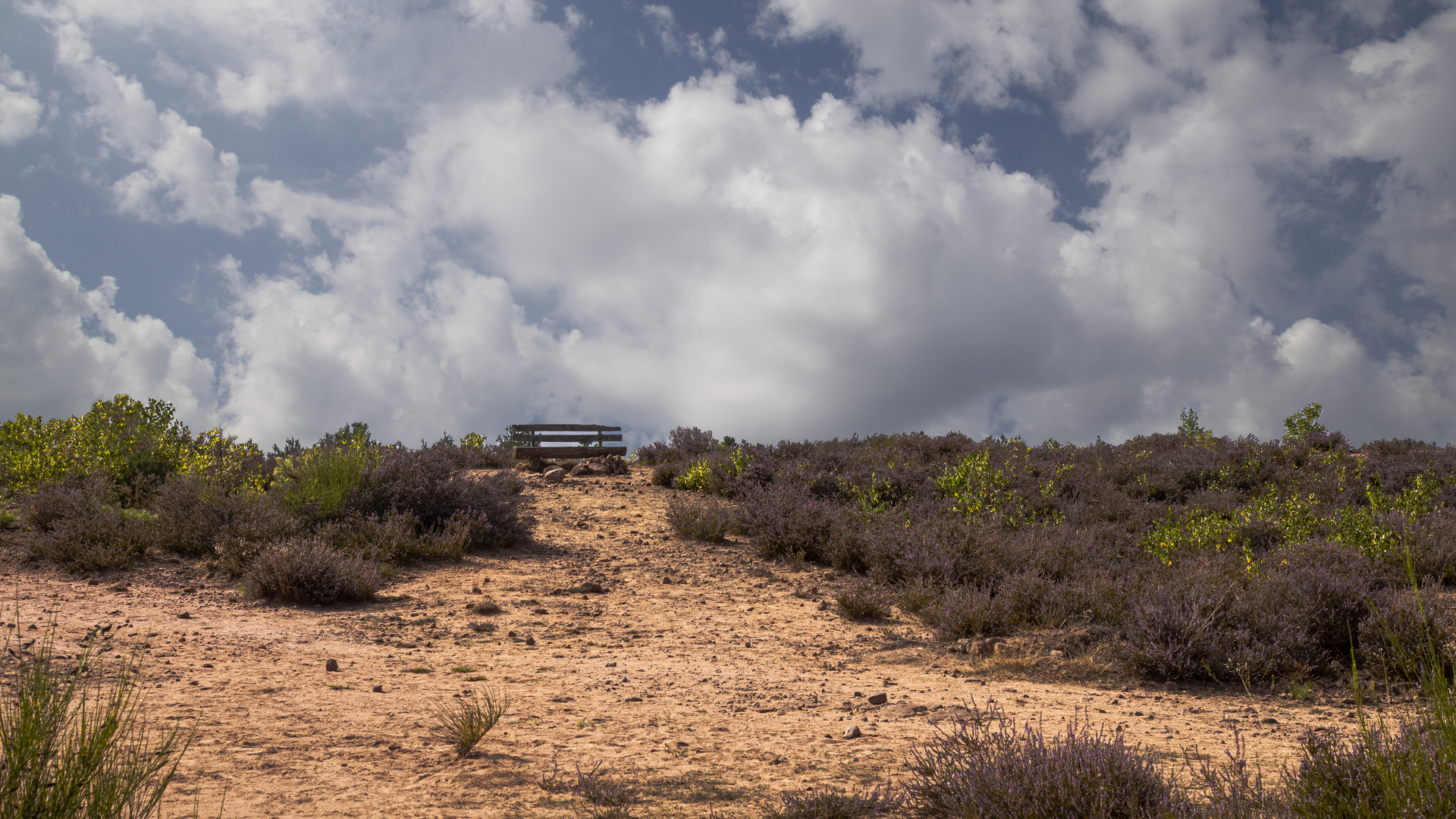 MEHLINGER HEIDE