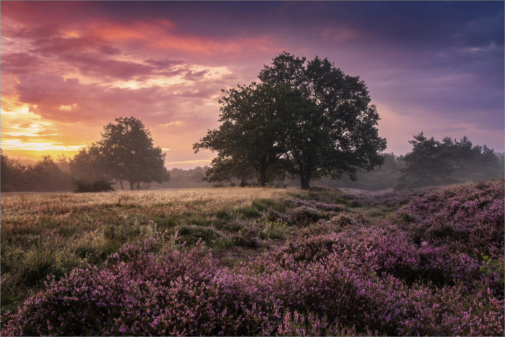 **Mehlinger Heide**