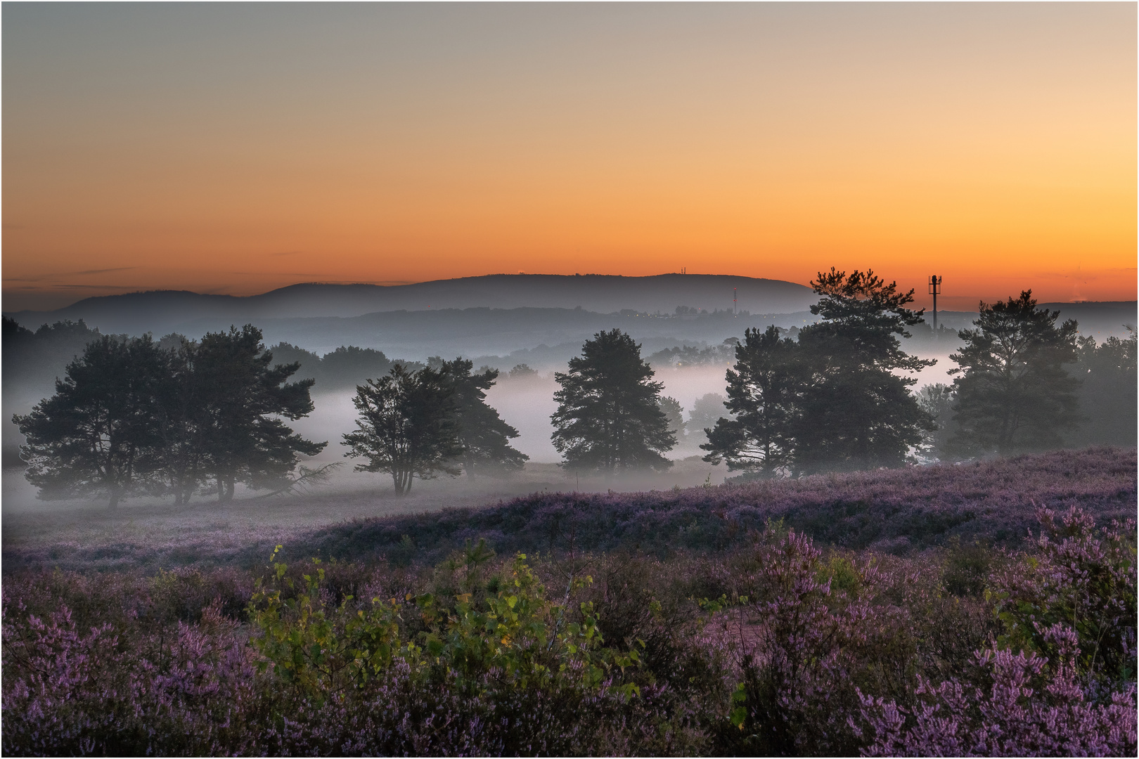 Mehlinger Heide im Frühnebel