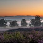 Mehlinger Heide im Frühnebel