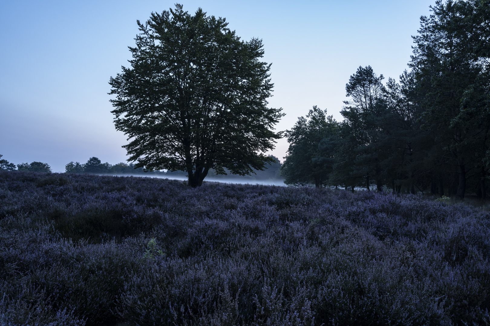 Mehlinger Heide-Sept.2020-001