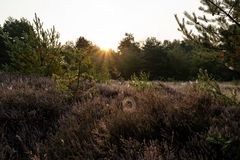 Mehlinger Heide-Sept.2020-004