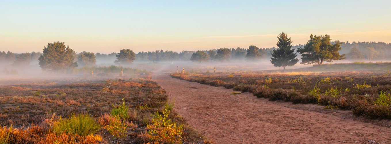 Mehlinger Heide (Titelbild Kalender)