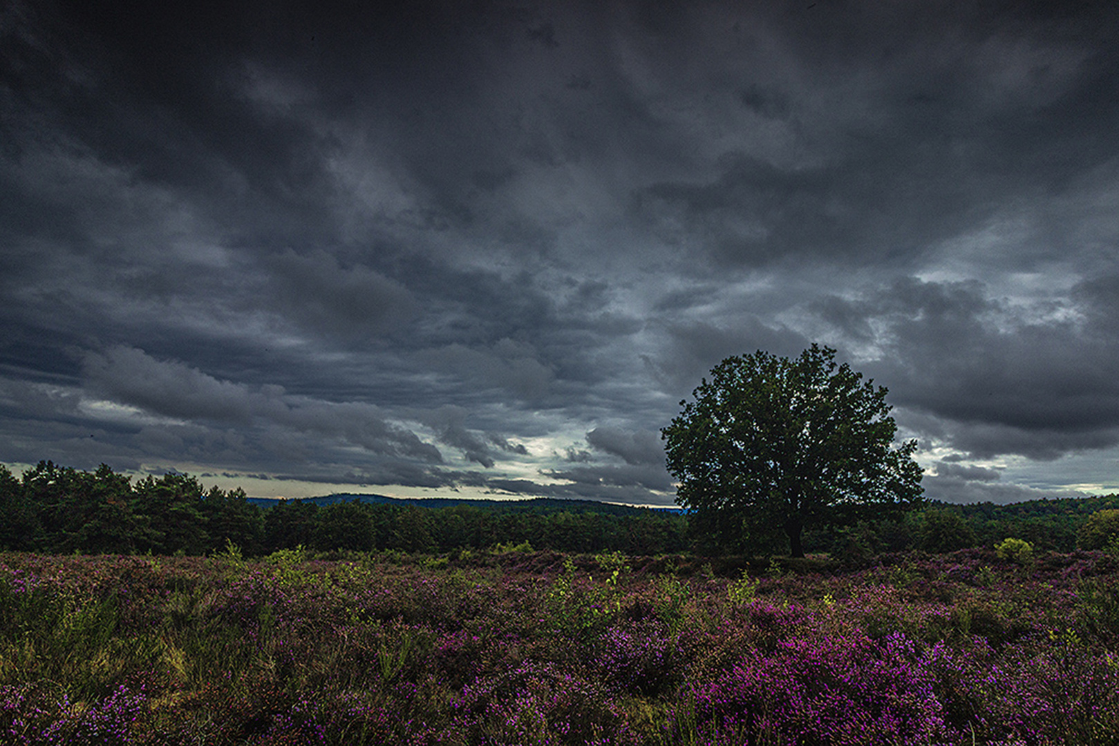 Mehlingerheide 1