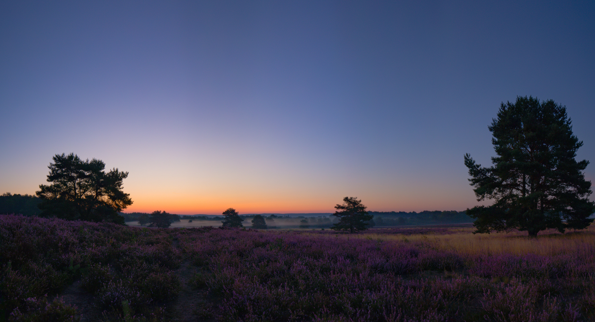 Mehlingerheide Panorama