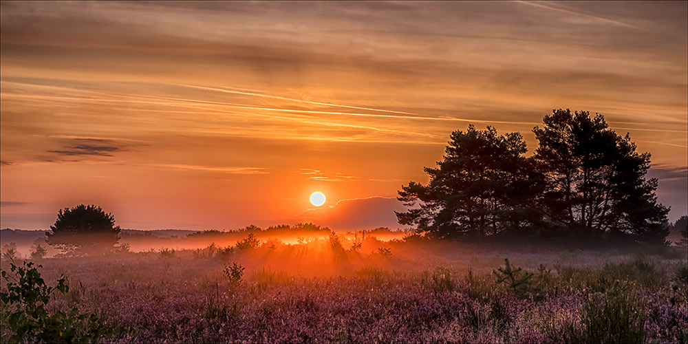 MehlingerHeide21#2