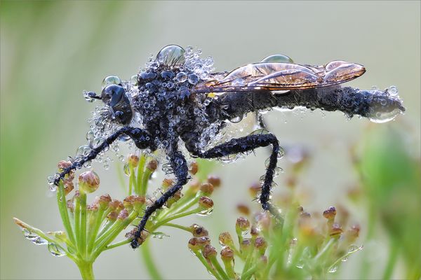 Mehr als Feuchtgebiet . . .
