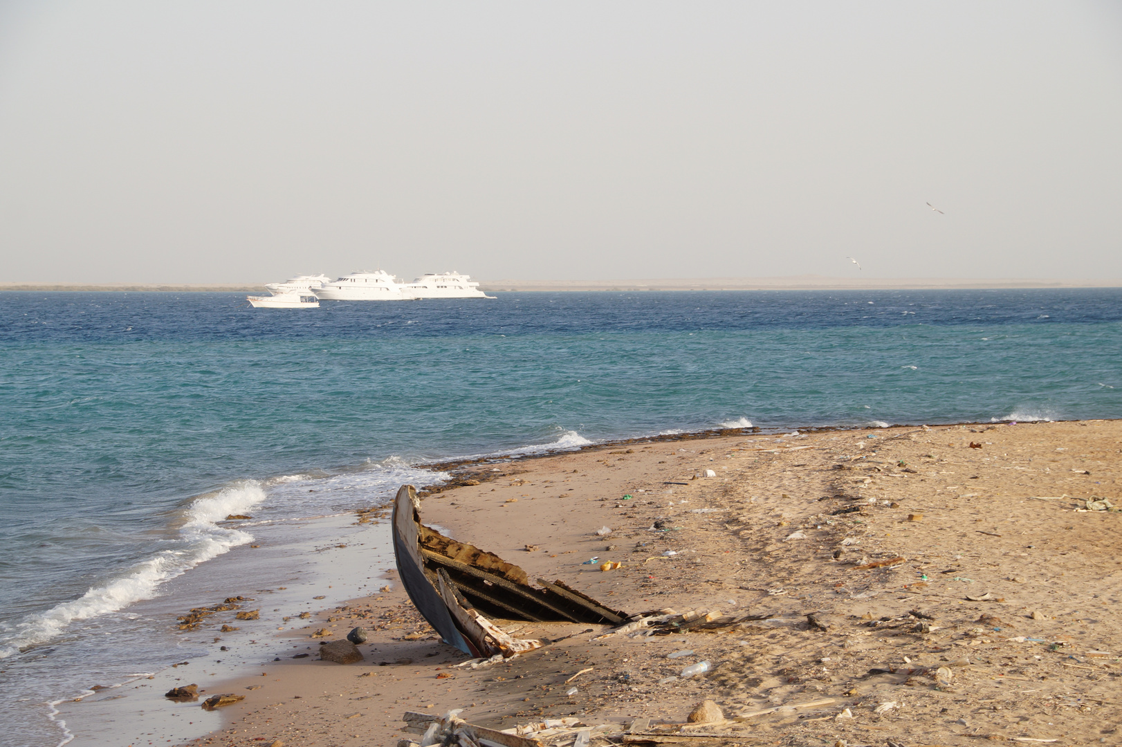 Mehr als nur Boote 