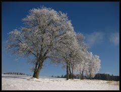 mehr Blau-Weiß...