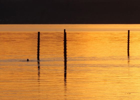 Mehr braucht es nicht