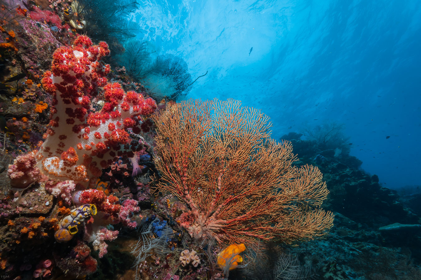 Mehr Farben oder Meer-Farben