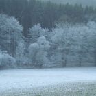 mehr Frost als Schnee