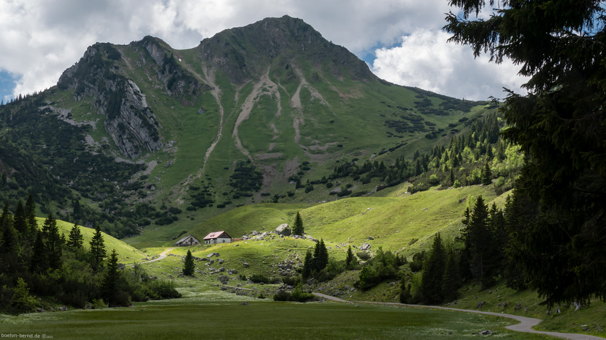 Mehr Grün...