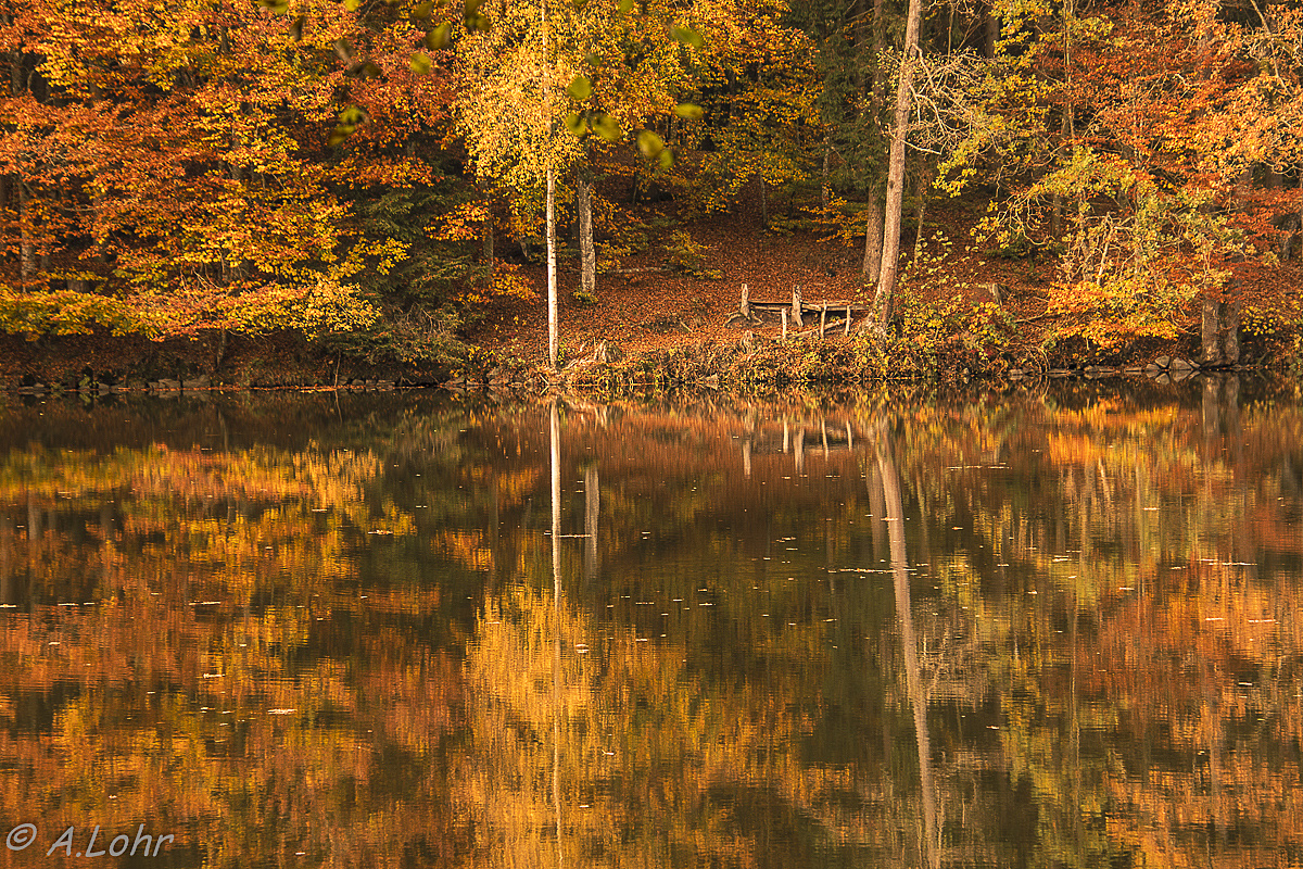 Mehr Herbst ging nicht