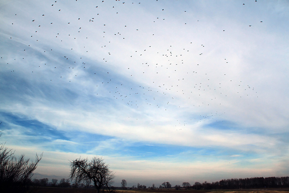 mehr Himmel