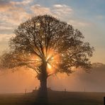 Mehr Licht als Schatten