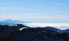 mehr Nebel - Nebel-Meer