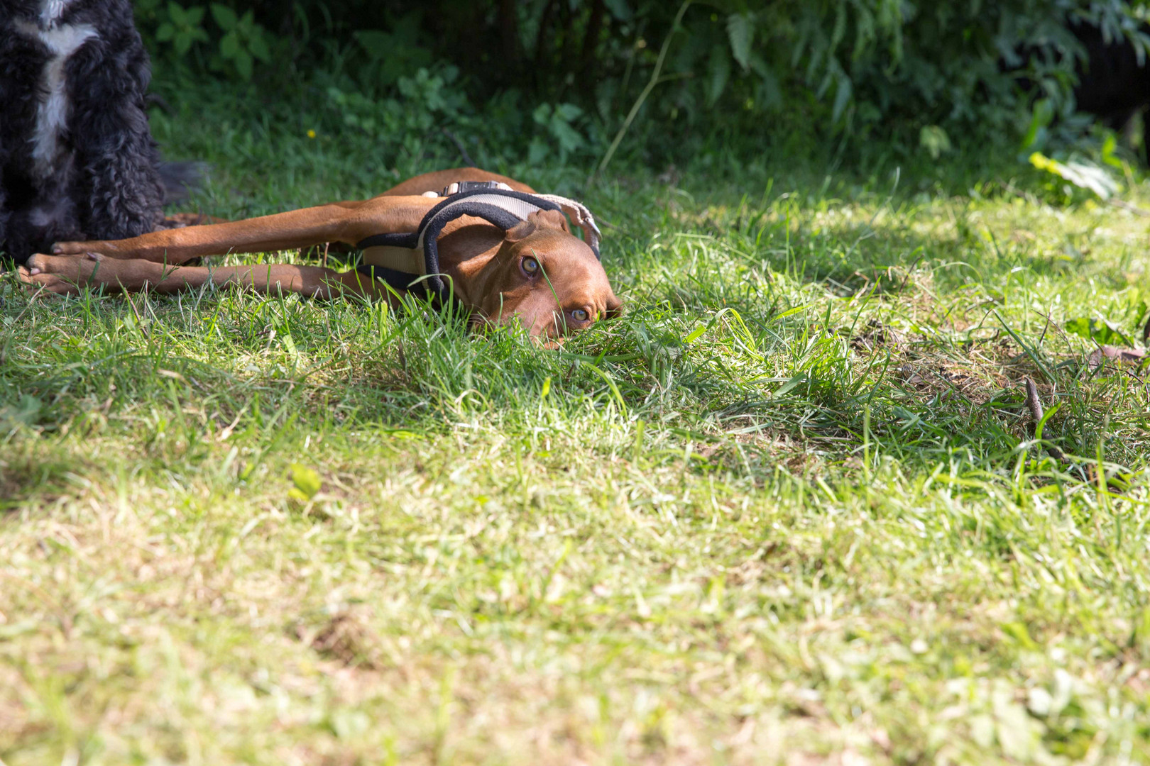 Mehr Posing is' heut' nich'