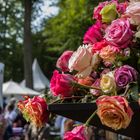 mehr Rosen @ Gartenfest Schloß Wolfsgarten