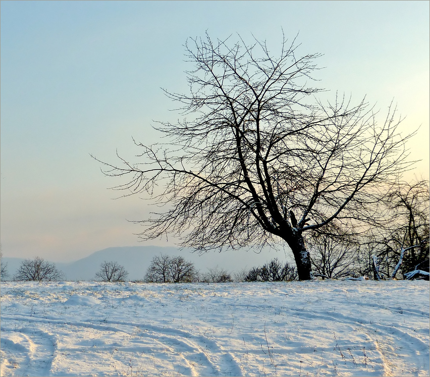 Mehr Schnee gabs nicht...