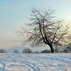 Mehr Schnee gabs nicht...