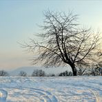 Mehr Schnee gabs nicht...