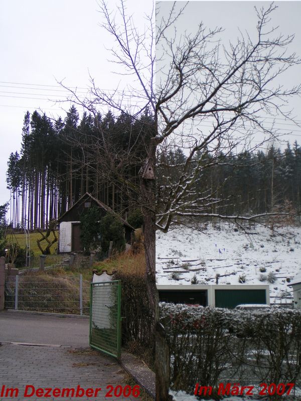 Mehr Schnee im März wie im Dezember