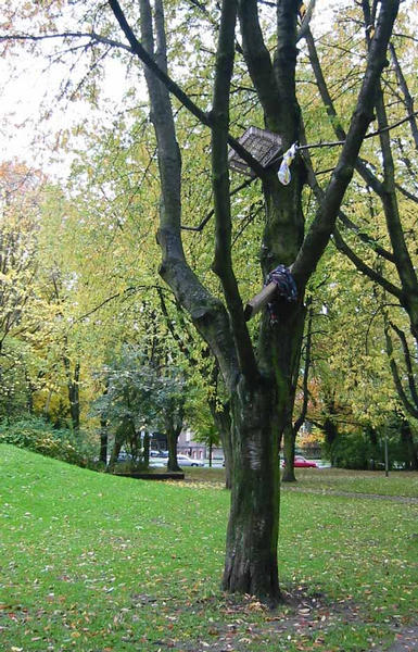 Mehr seltsame Früchte