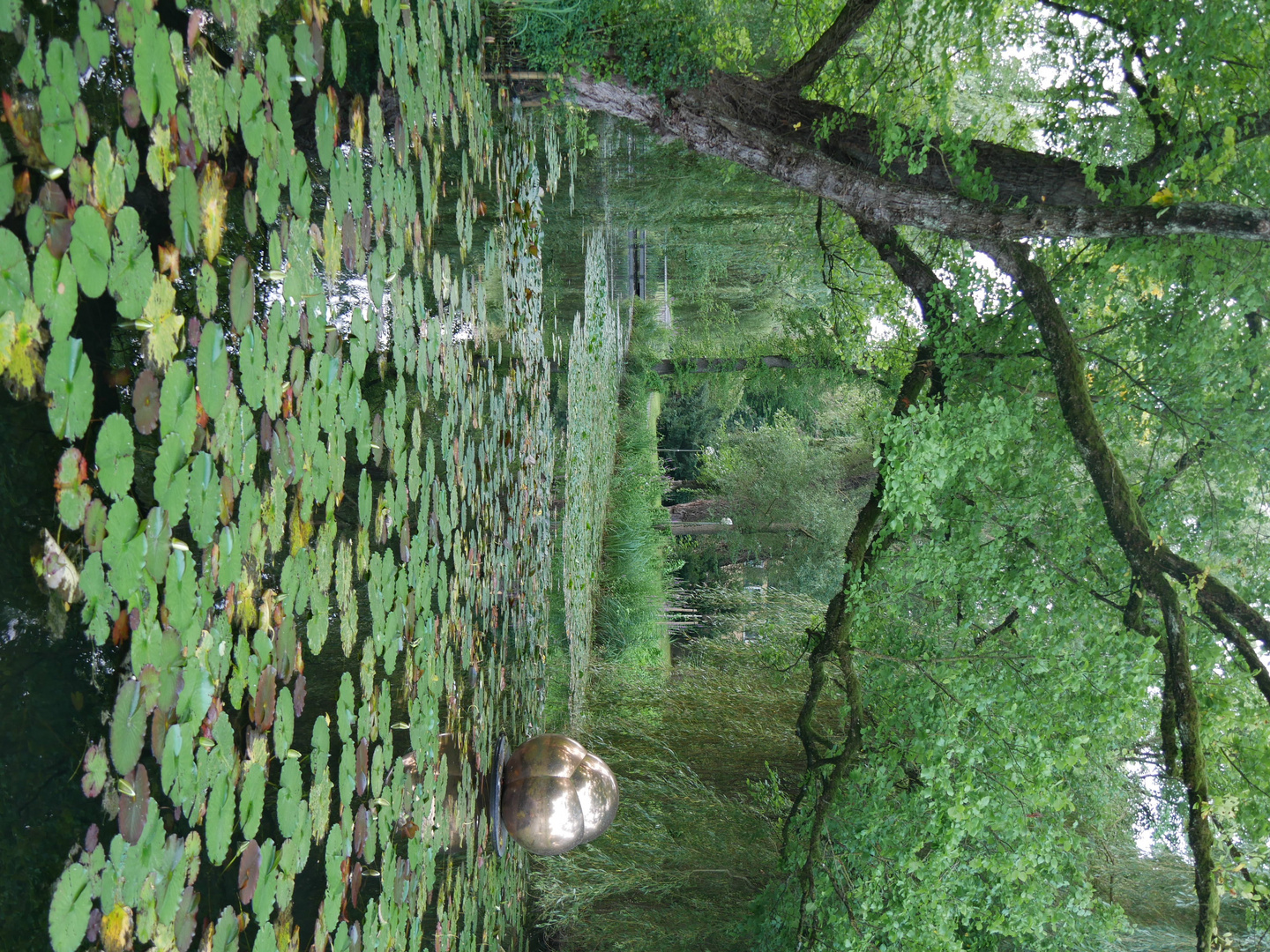 Mehr vom Park 